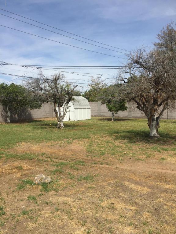 6834 N 14th St, Phoenix, AZ 85014 photo 24