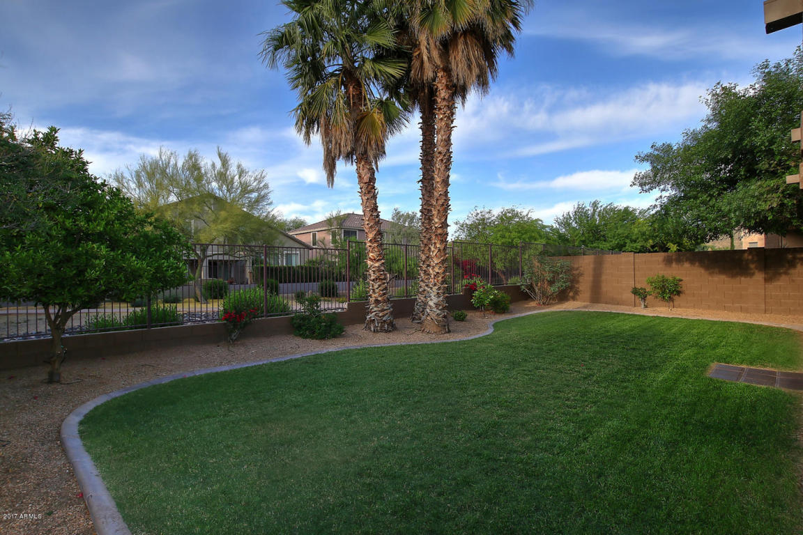 3058 W Eagle Claw Dr, Phoenix, AZ 85086 photo 5