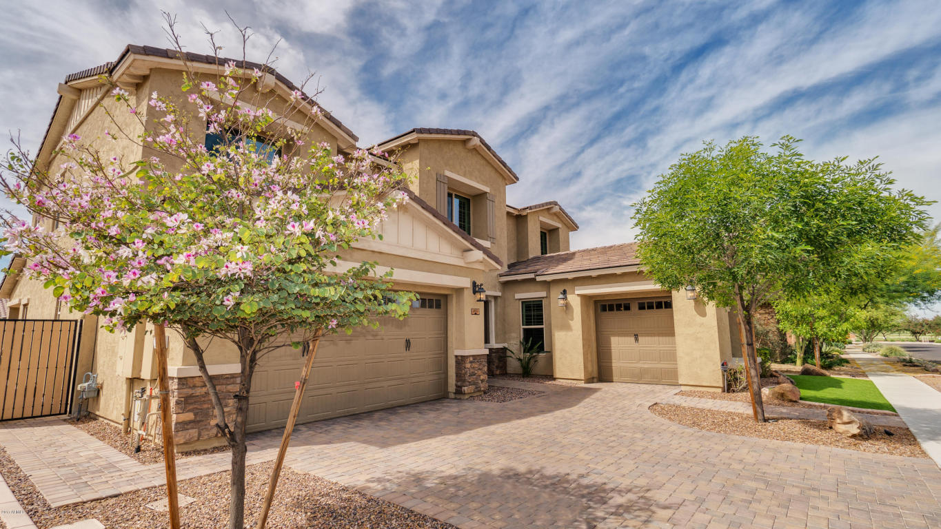 2853 E Maplewood St, Gilbert, AZ 85297 photo 3