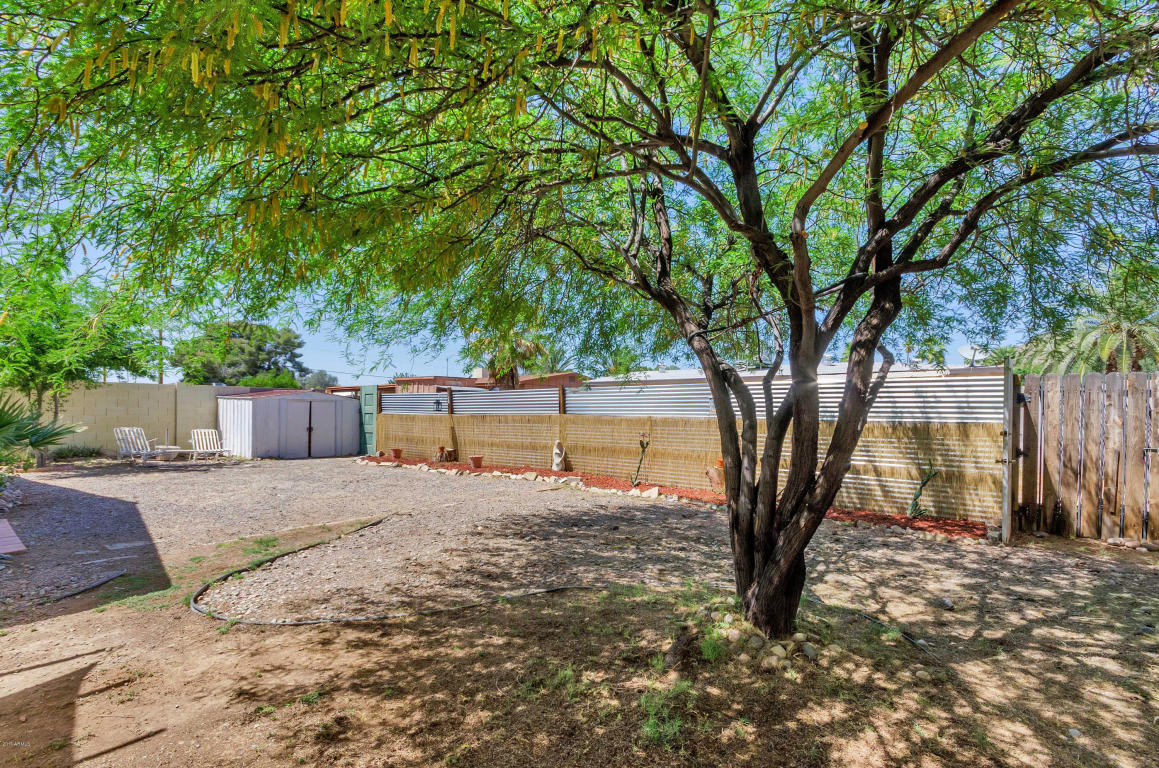 2408 E Sylvia St, Phoenix, AZ 85032 photo 28