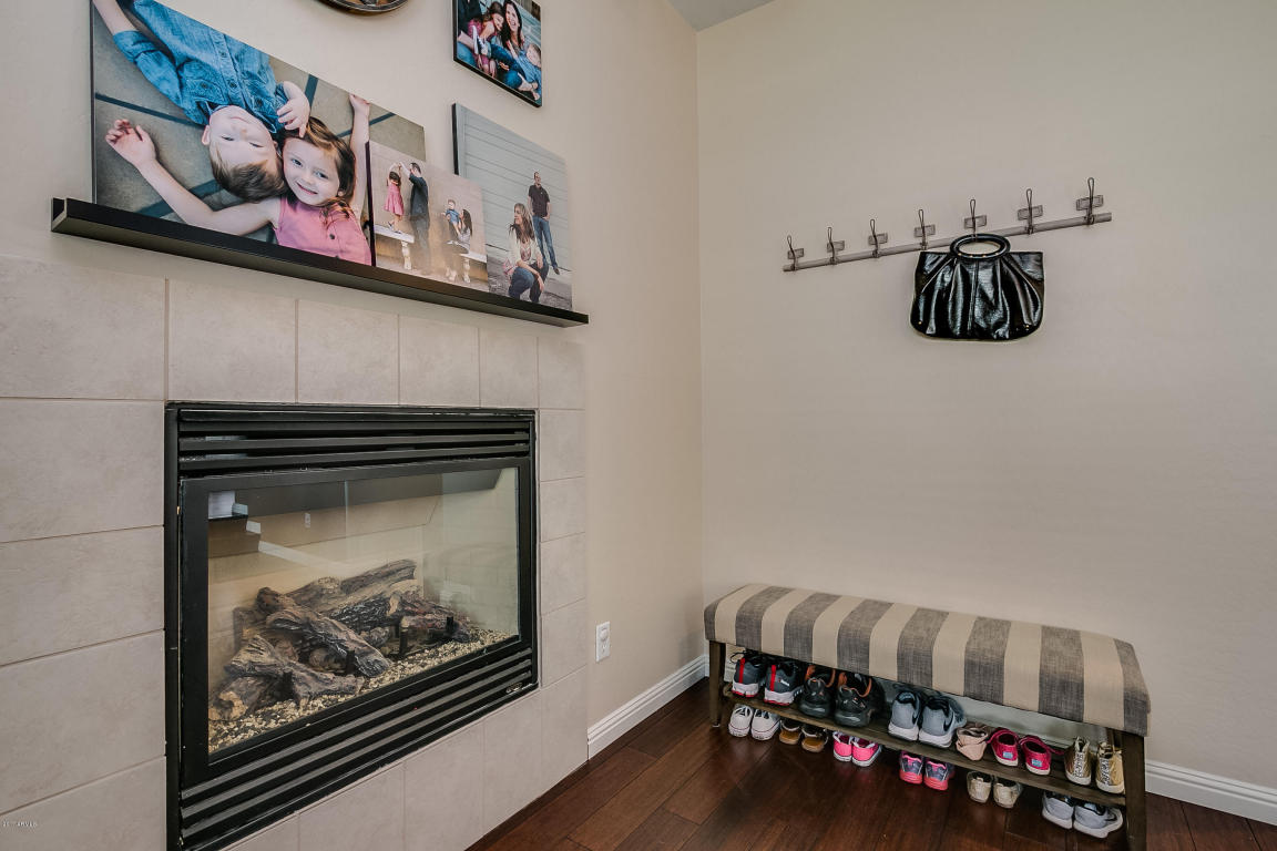 1328 E Frances Ln, Gilbert, AZ 85295 photo 12