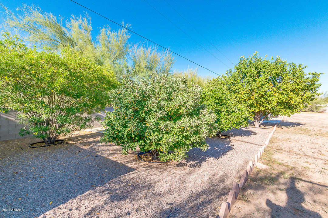 9058 E Dennis St, Mesa, AZ 85207 photo 68