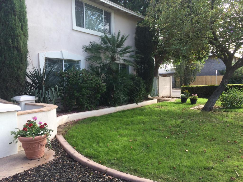 1145 E Concorda Dr, Tempe, AZ 85282 photo 4