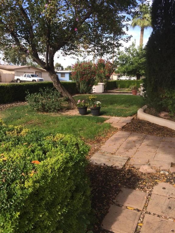 1145 E Concorda Dr, Tempe, AZ 85282 photo 7