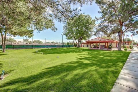 455 S Delaware Dr #144, Apache Junction, AZ 85120 photo 24