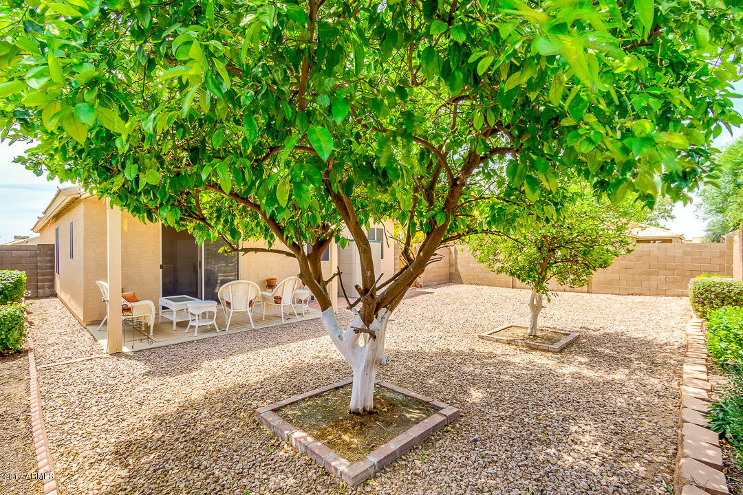 2320 W 20th Ave, Apache Junction, AZ 85120 photo 30