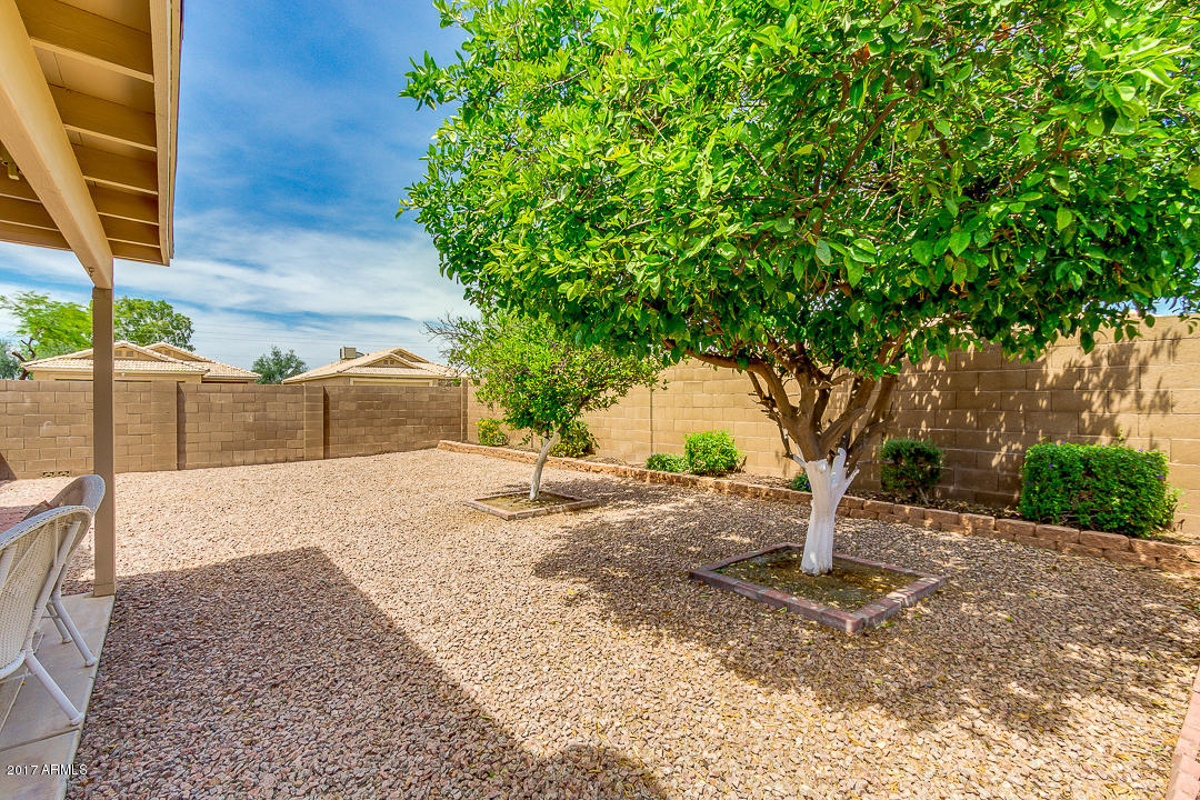 2320 W 20th Ave, Apache Junction, AZ 85120 photo 29