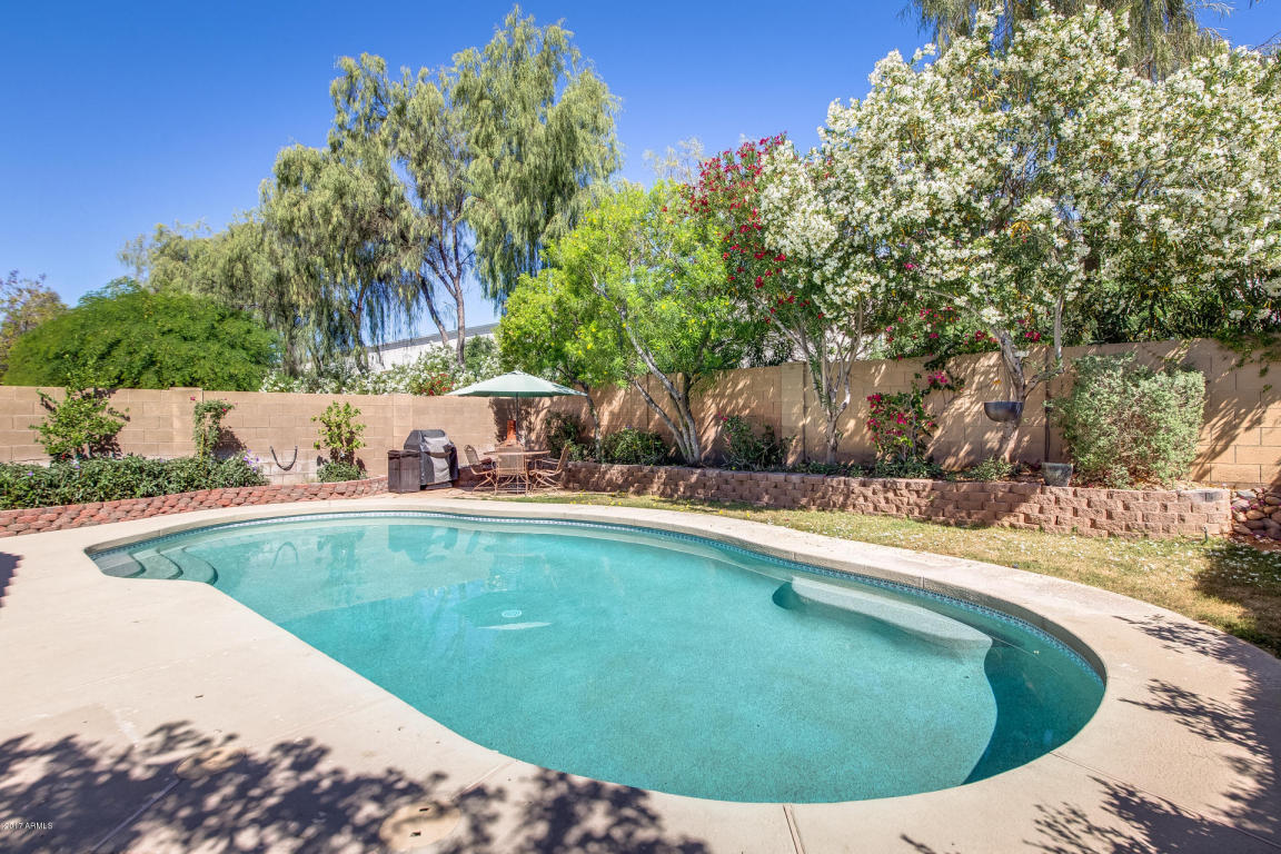 2228 E Kelton Ln, Phoenix, AZ 85022 photo 28