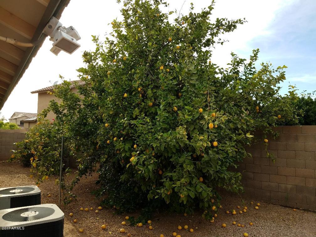 3149 S 98th Cir, Mesa, AZ 85212 photo 28