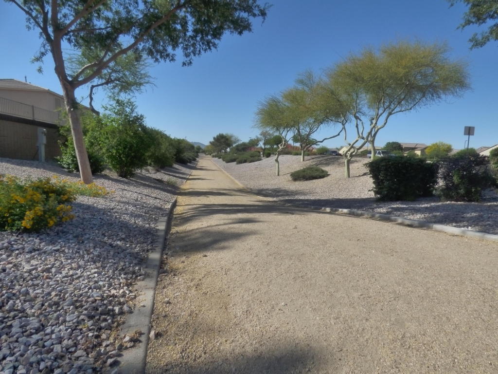 3767 S Colt Dr, Gilbert, AZ 85297 photo 7