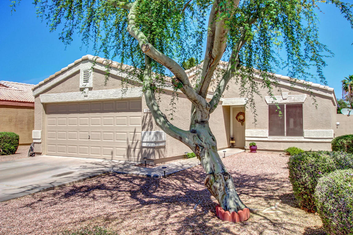 1704 E Robin Ln, Gilbert, AZ 85296 photo 1