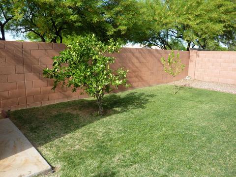 9854 Escondido Ave, Mesa, AZ 85208 photo 13