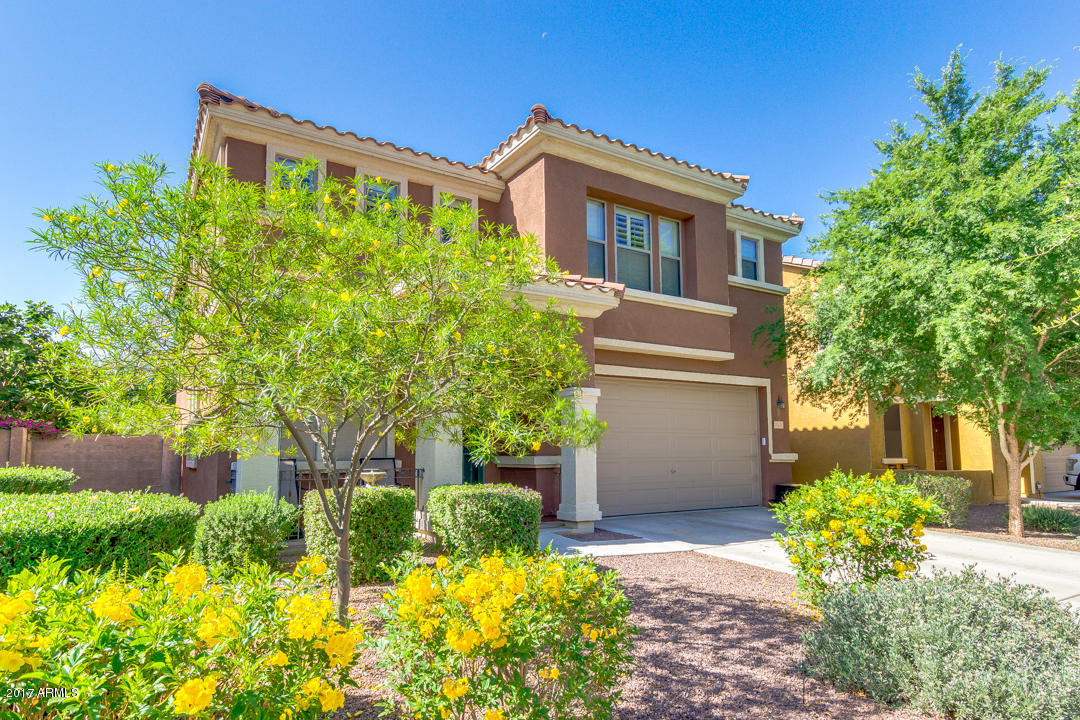 3521 E Terrace Ave, Gilbert, AZ 85234 photo 3