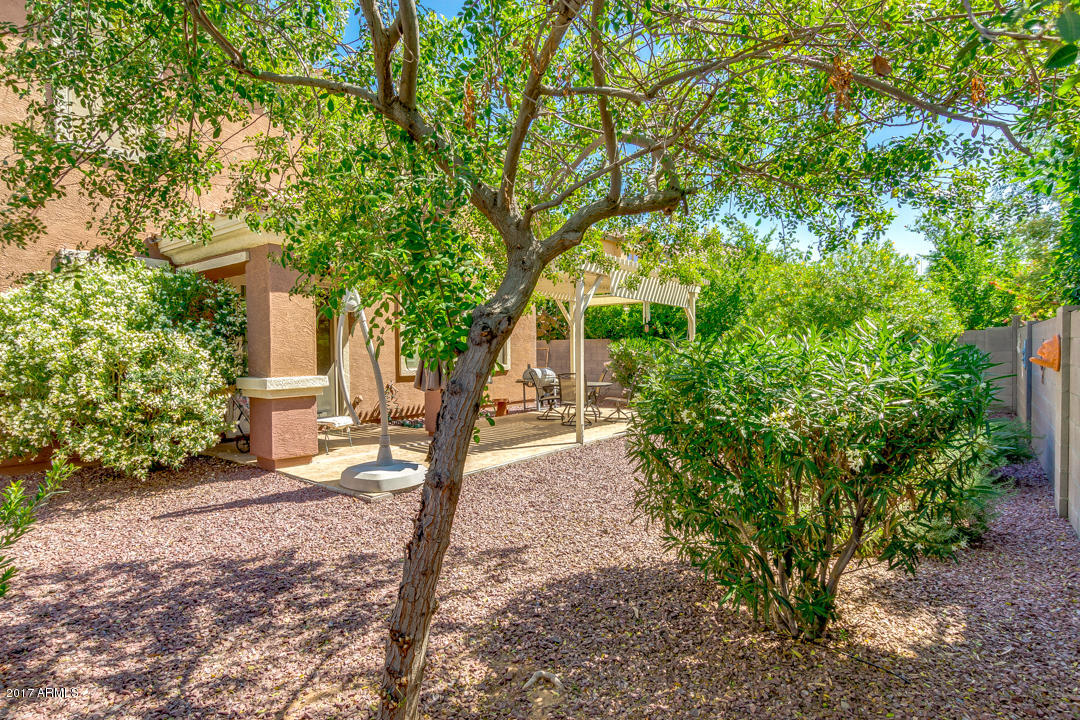 3521 E Terrace Ave, Gilbert, AZ 85234 photo 32