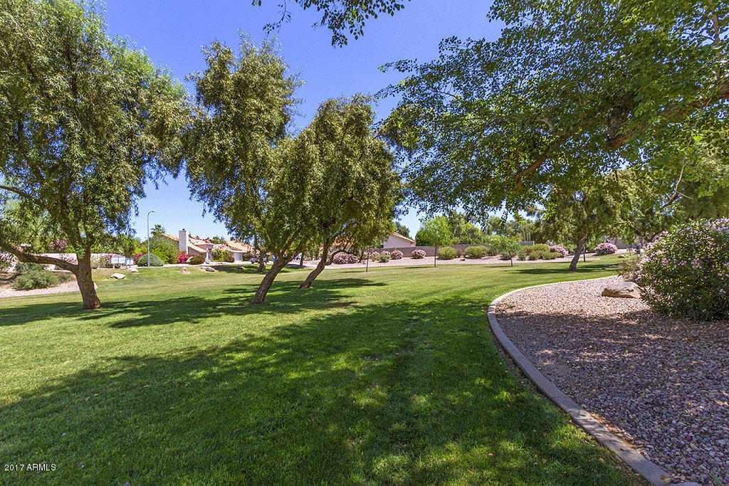4334 E Dry Creek Rd, Phoenix, AZ 85044 photo 15