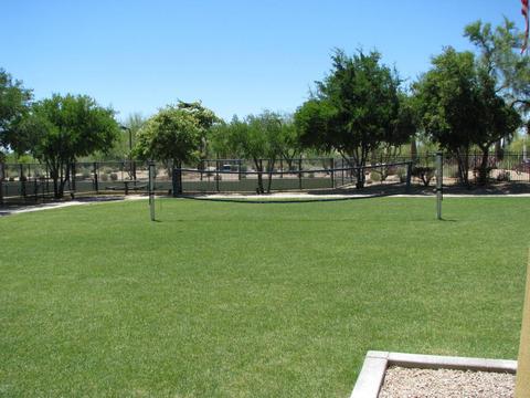 3757 E Donald Dr, Phoenix, AZ 85050 photo 59