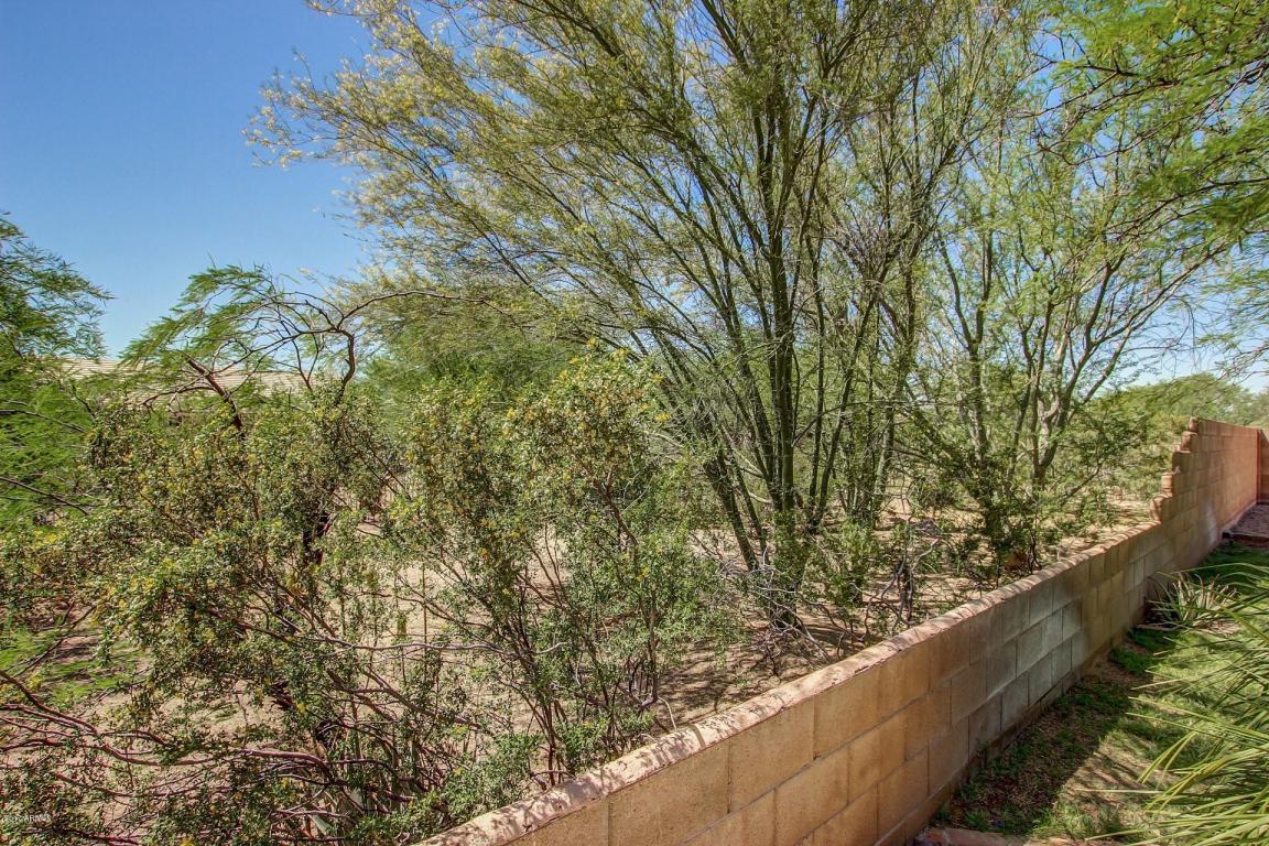 529 E Blue Eagle Ln, Phoenix, AZ 85086 photo 29