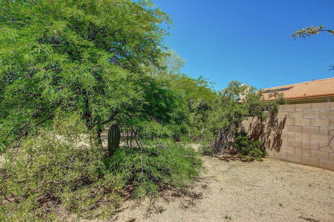 529 E Blue Eagle Ln, Phoenix, AZ 85086 photo 33