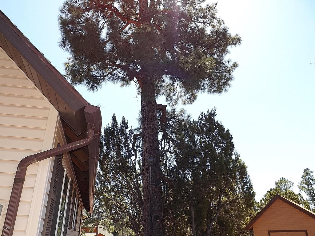 2011 Concord --, Overgaard, AZ 85933 photo 12