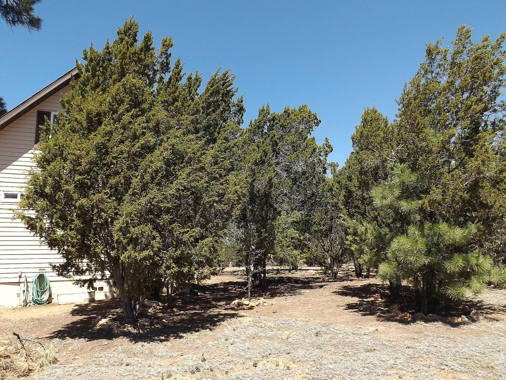2011 Concord --, Overgaard, AZ 85933 photo 15