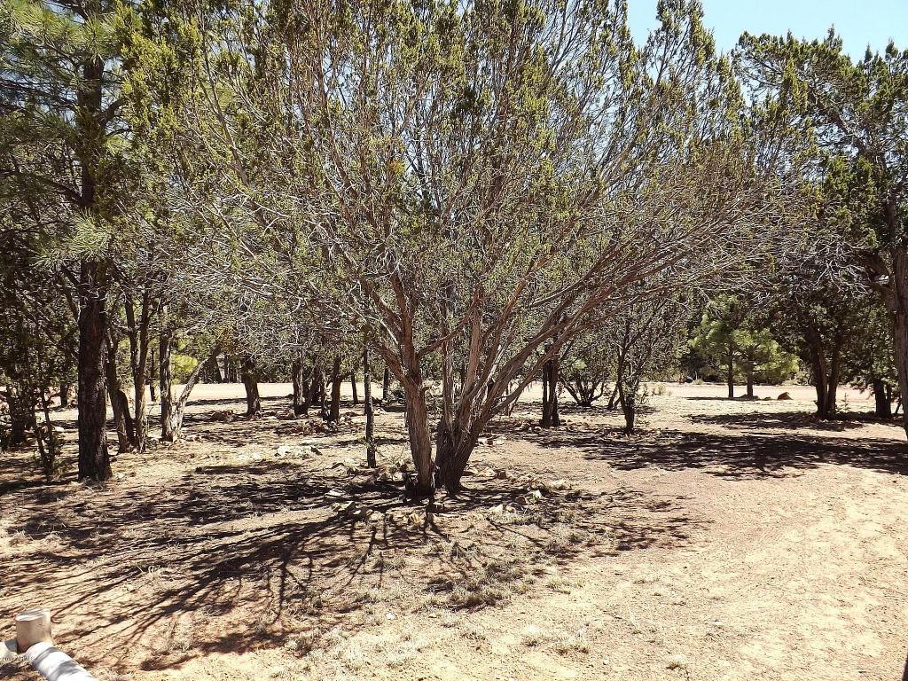 2011 Concord --, Overgaard, AZ 85933 photo 14