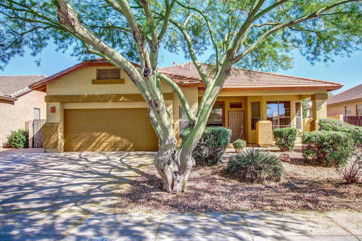 3648 E Feather Ave, Gilbert, AZ 85234 photo 8