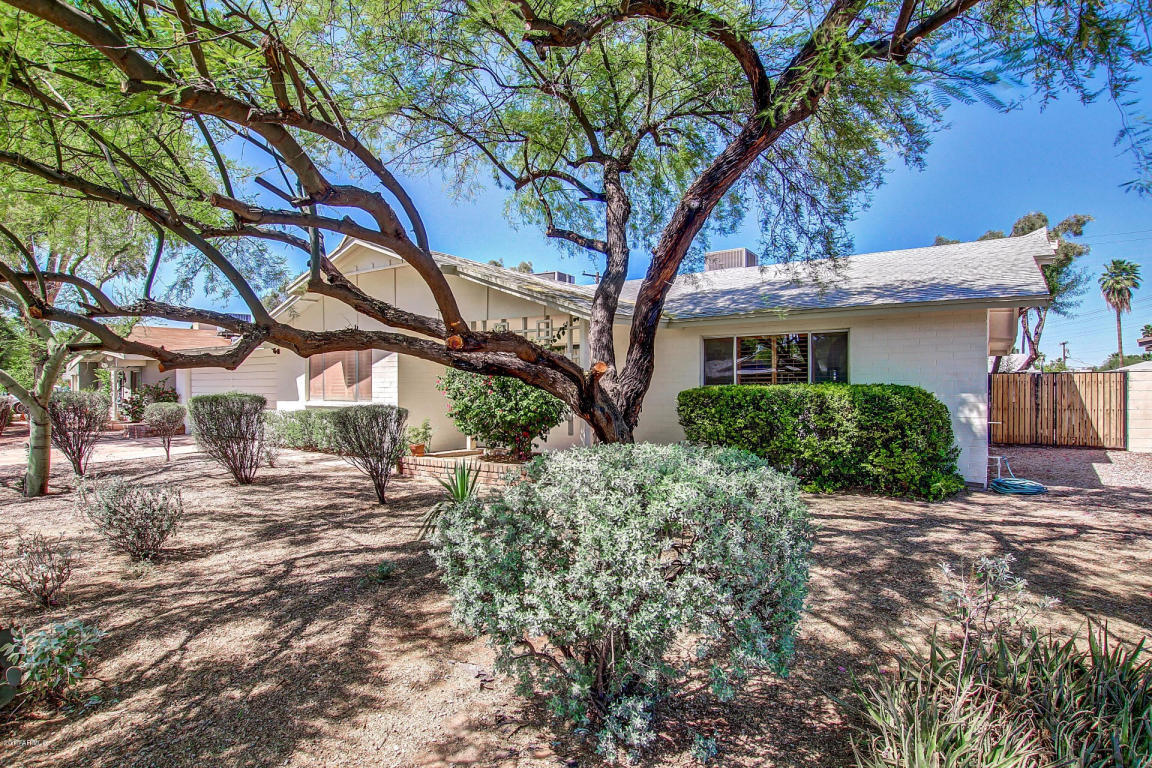 708 E Wesleyan Dr, Tempe, AZ 85282 photo 4