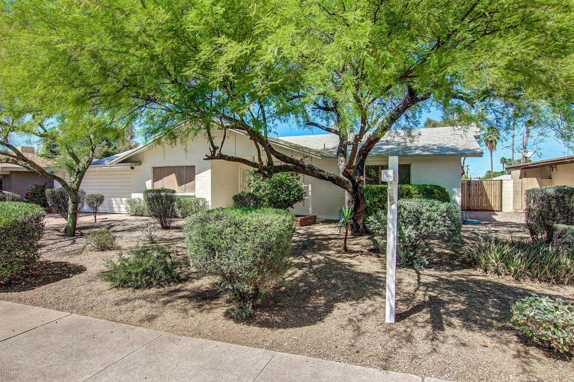 708 E Wesleyan Dr, Tempe, AZ 85282 photo 3