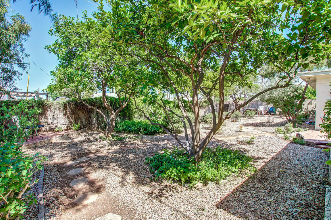708 E Wesleyan Dr, Tempe, AZ 85282 photo 41