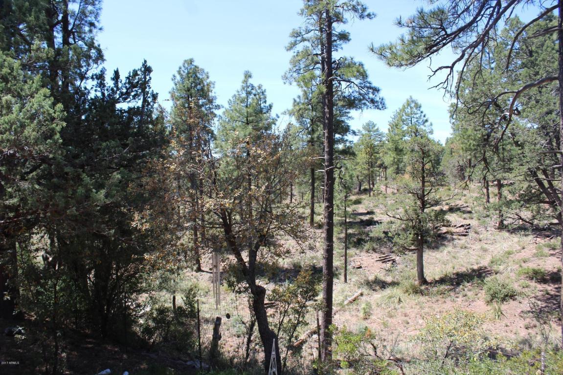 154 E Belluzzi Blvd, Payson, AZ 85541 photo 9