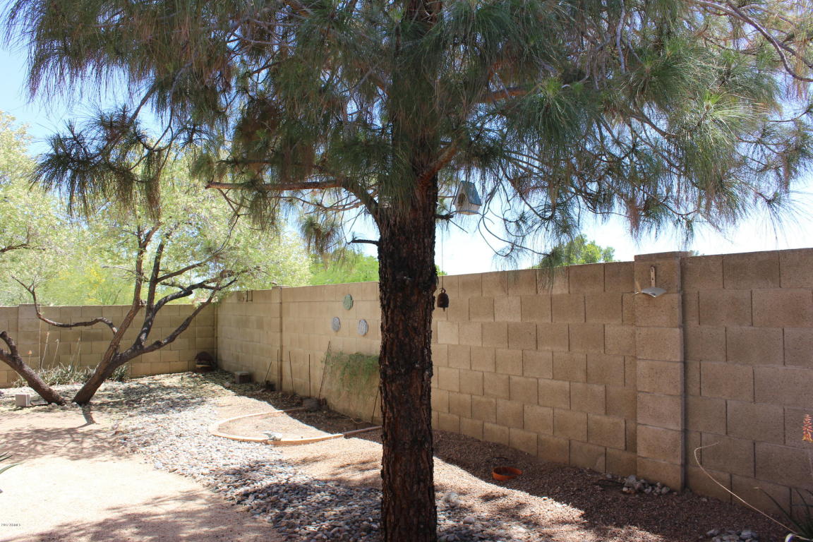 4101 E San Gabriel Ave, Phoenix, AZ 85044 photo 19