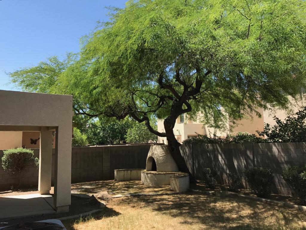 1332 E Clifton Ave, Gilbert, AZ 85295 photo 14