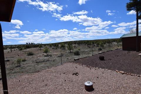 2672 Lodge Loop, Overgaard, AZ 85933 photo 24