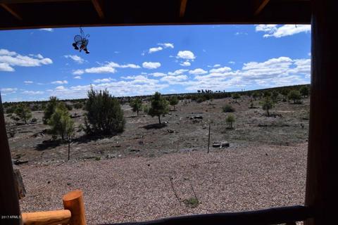 2672 Lodge Loop, Overgaard, AZ 85933 photo 22