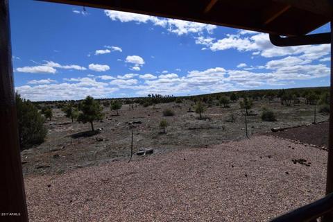 2672 Lodge Loop, Overgaard, AZ 85933 photo 26