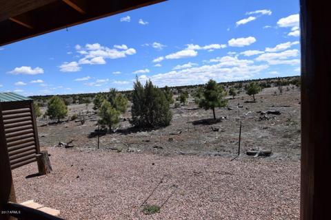 2672 Lodge Loop, Overgaard, AZ 85933 photo 25