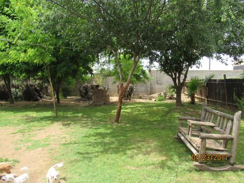 7056 N 24th Ave, Phoenix, AZ 85021 photo 8