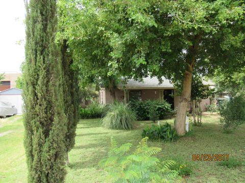 7056 N 24th Ave, Phoenix, AZ 85021 photo 6