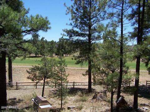 2241 Fairway Dr, Overgaard, AZ 85933 photo 4