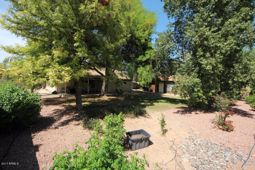 6537 E Ivy St, Mesa, AZ 85205 photo 4