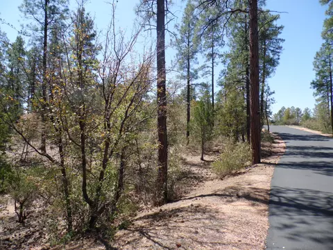 3109 E Game Trl #250, Payson, AZ 85541 photo 13