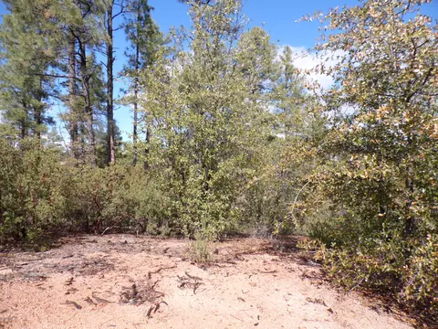 3109 E Game Trl #250, Payson, AZ 85541 photo 4