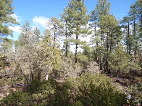 3109 E Game Trl #250, Payson, AZ 85541 photo 6