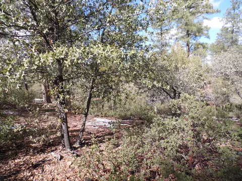 3109 E Game Trl #250, Payson, AZ 85541 photo 3