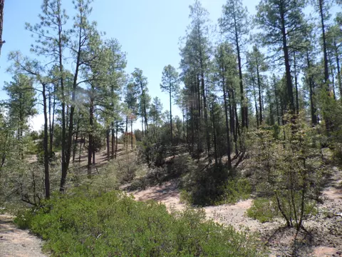 3109 E Game Trl #250, Payson, AZ 85541 photo 8