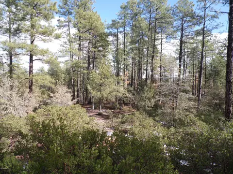 3109 E Game Trl #250, Payson, AZ 85541 photo 1