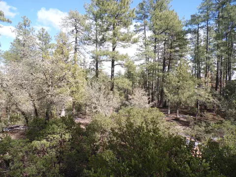 3109 E Game Trl #250, Payson, AZ 85541 photo 2
