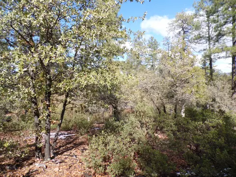 3109 E Game Trl #250, Payson, AZ 85541 photo 5