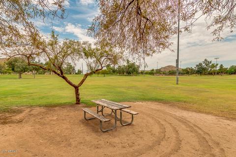 14032 S 36th Pl, Phoenix, AZ 85044 photo 43
