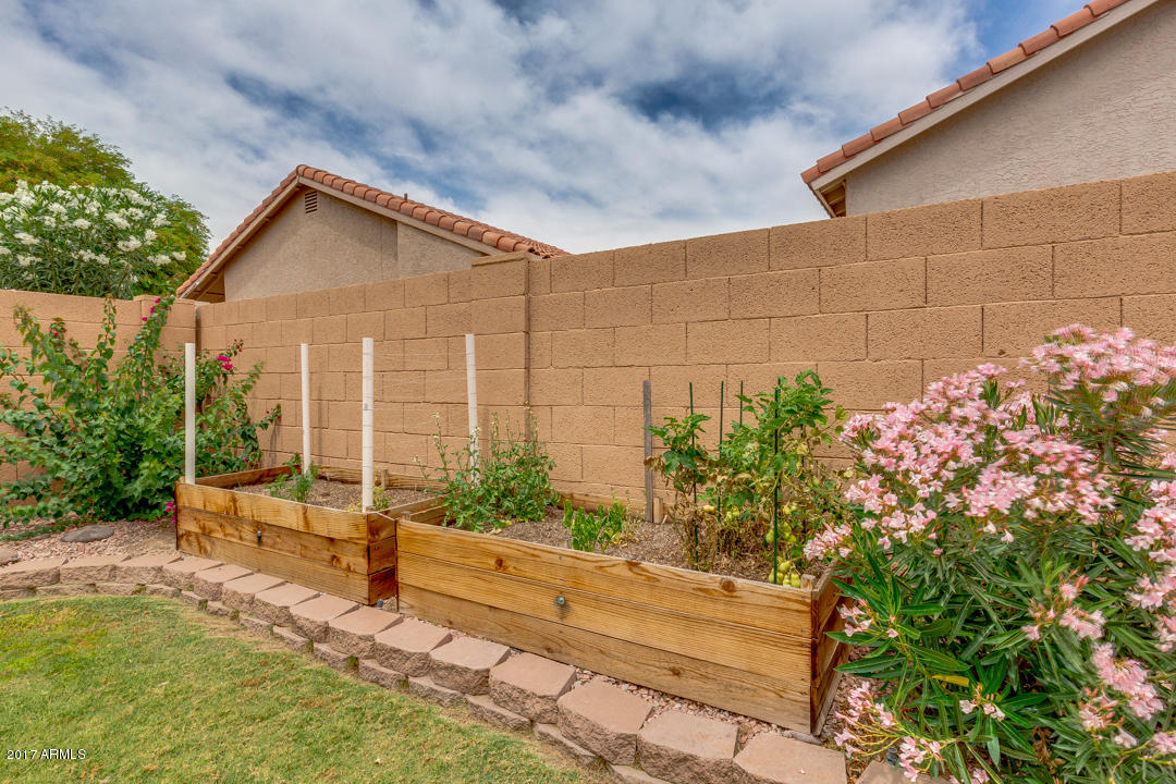 4330 E Badger Way, Phoenix, AZ 85044 photo 45